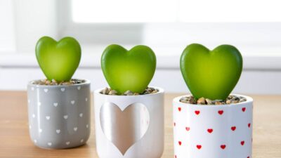 A photograph of Poundland in Hinckley