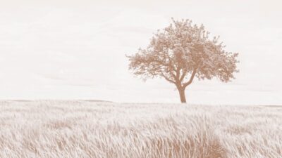 A photograph of Richstone Park Financial Planning Ltd in Hinckley