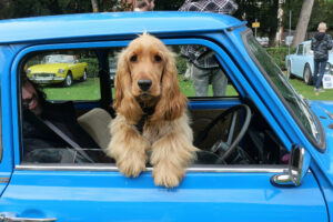 BID Mortor show 0097