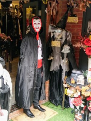 Curiosity Boutique 1