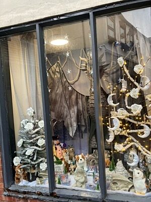 Curiosity Boutique 2 Regent C