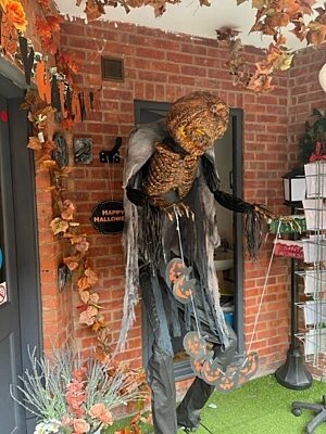 Curiosity Boutique 2